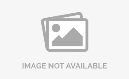 MESNAC upgrades strategy with German director joining in